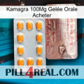 Kamagra 100Mg Gelée Orale Acheter new13